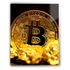 BITCOIN COIN Metal Poster