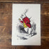 Alice In Wonderland White Rabbit Illustration - Metal Alice In Wonderland Wall Sign