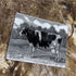Cow Illustration - Metal Vintage Wall Sign