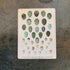 Eggs Vintage Botanical  - Metal Art Wall Sign