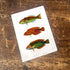 Fish Nautical Sea Life - Metal Movie Wall Sign