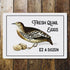 Fresh Quail Eggs  Tin Sign Metal Sign Plaque
