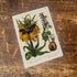 Fritillaria Imperialis Botanical Flower Illustration Metal  Wall Sign