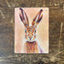Hare Illustration - Metal Botanical Wall Sign Plaque