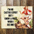I'M No Cactus Expert But I Know A Prick When I See One - Pin Up Girl - Metal Wall Sign
