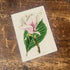 Magnolia Soulangeana Botanical Illustration B Metal  Wall Sign