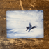 Mermaid Tail -  Metal Sign Plaque - Sea Bathroom