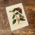 Painted Lady Butterfly, Caterpillar, And Pupa  Botanical Illustration  Metal  Wall Sign