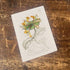 Pale Perfoliate Honeysuckle Botanical Illustration  Metal  Wall Sign