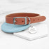 Personalised Classic Brown Leather Dog Collar with Tag PER4375