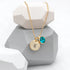 Personalised Monogram Gold Birthstone Crystal and Disc PER4314-DEC