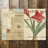 Postcard Flowers- Metal Humour Wall Sign