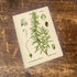 Rosemary Herb Flowers Botanical Vintage Illustrations Metal Sign