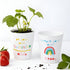 Personalised Child's Rainbow Plant Pot