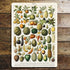 Vintage Botanical Kitchen Fruits  - Metal Art Wall Sign (1)